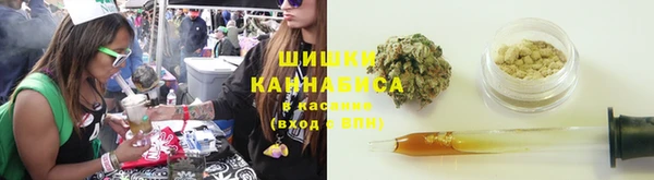 ГАЛЛЮЦИНОГЕННЫЕ ГРИБЫ Лиски