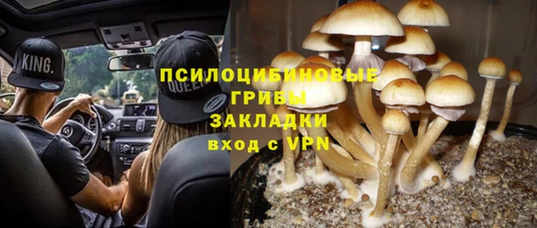 дурь Абинск