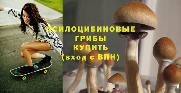 ГАЛЛЮЦИНОГЕННЫЕ ГРИБЫ Лиски